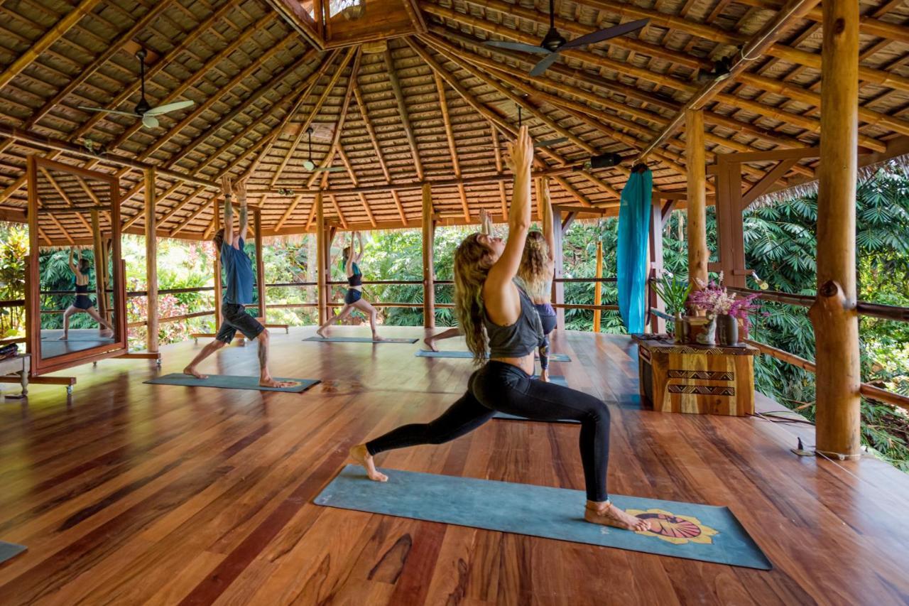 Selva Armonia Immersive Jungle Hotel Uvita